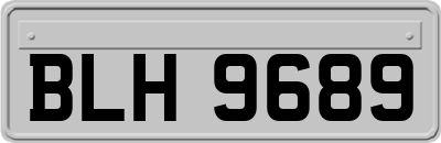 BLH9689