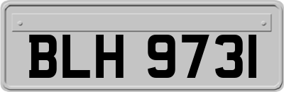 BLH9731