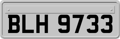 BLH9733