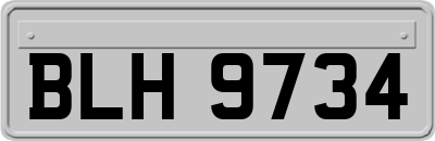 BLH9734