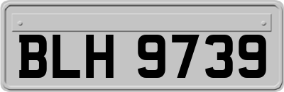 BLH9739