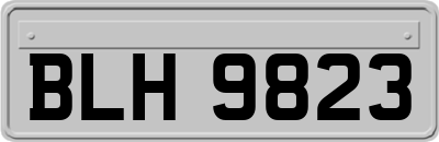 BLH9823