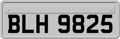 BLH9825