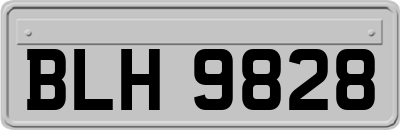 BLH9828