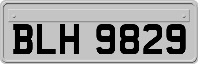 BLH9829