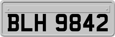 BLH9842
