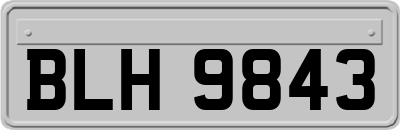 BLH9843
