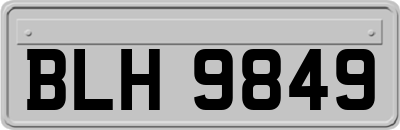 BLH9849