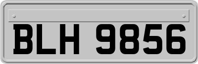 BLH9856