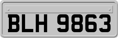 BLH9863