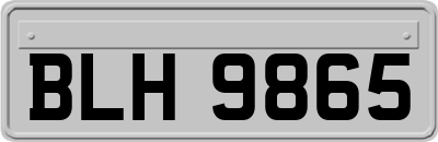 BLH9865