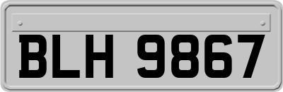 BLH9867