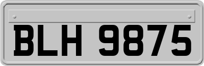 BLH9875