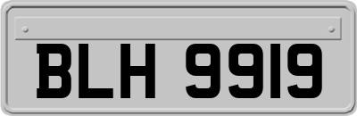 BLH9919