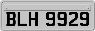 BLH9929