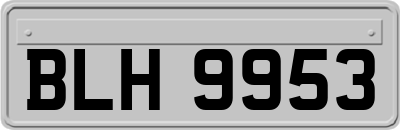 BLH9953