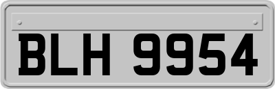 BLH9954