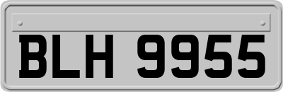 BLH9955
