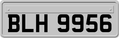 BLH9956