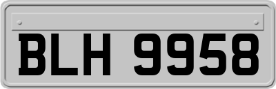 BLH9958