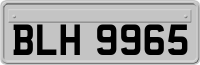 BLH9965
