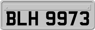 BLH9973