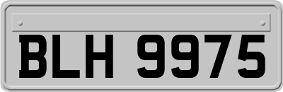 BLH9975