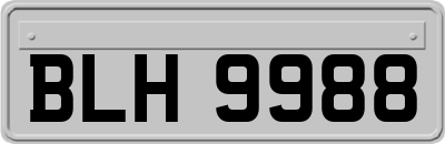 BLH9988