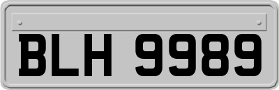 BLH9989