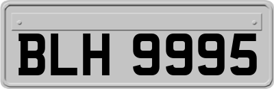 BLH9995