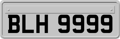 BLH9999