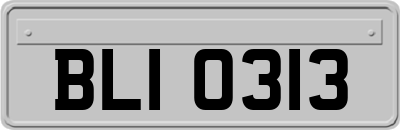 BLI0313