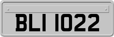 BLI1022