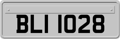 BLI1028