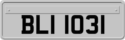 BLI1031