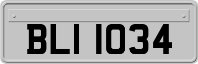 BLI1034