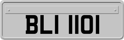 BLI1101