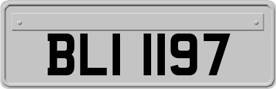 BLI1197