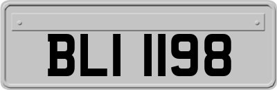 BLI1198
