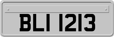 BLI1213