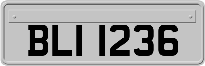 BLI1236