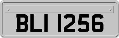 BLI1256