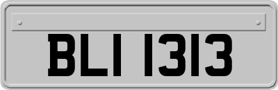 BLI1313