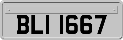BLI1667