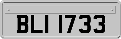 BLI1733