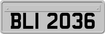 BLI2036