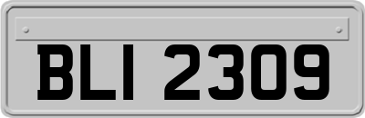 BLI2309