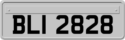 BLI2828
