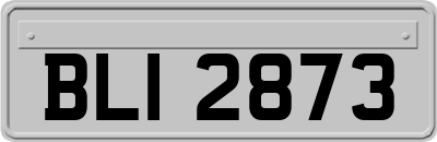 BLI2873
