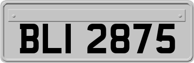 BLI2875